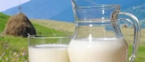 乳業透視：分化陣痛中轉型，價值升維里突圍